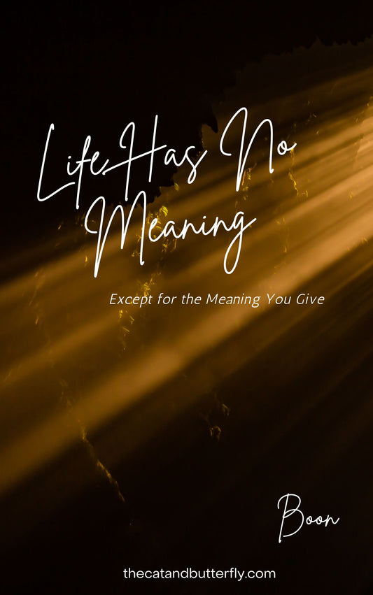 Life Has No Meaning (pre-order, ready by Q4)